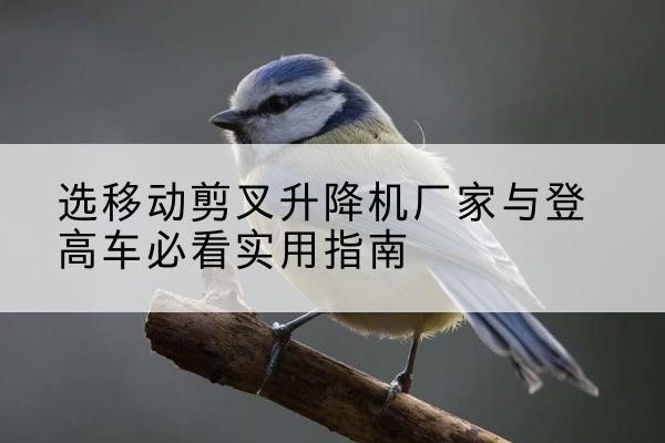光泽电动升降机厂家-选移动剪叉升降机厂家与登高车必看实用指南