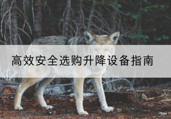 光泽升降货梯厂家推荐-*安全选购升降设备指南