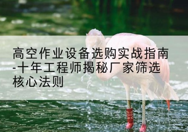 光泽剪叉式升降机厂家-高空作业设备选购实战指南-十年工程师揭秘厂家筛选核心法则